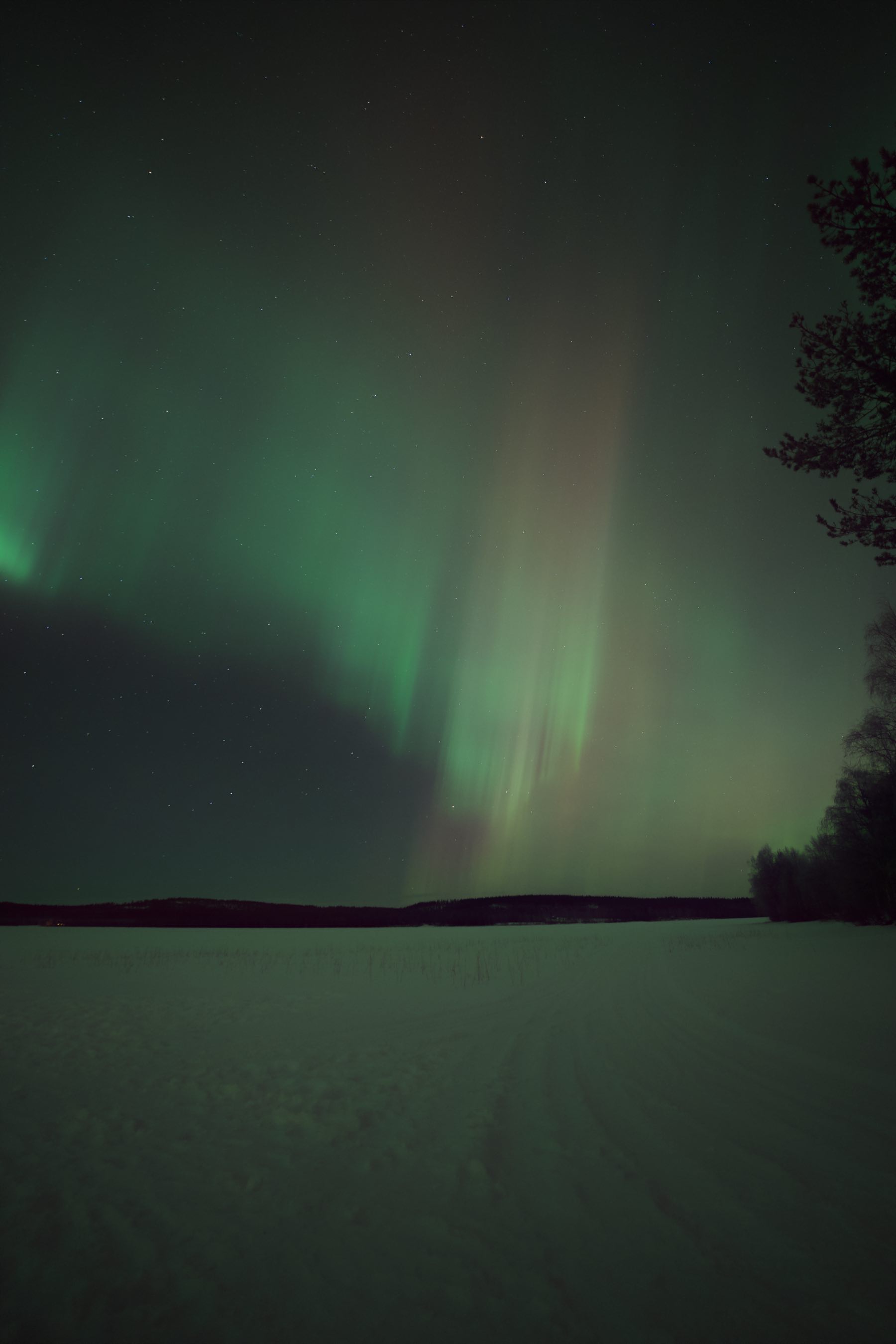 Lights in the Sky, Rovaniemi, Finland